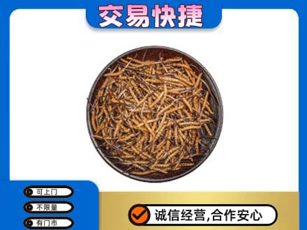 沧州沧县高价回收散虫草