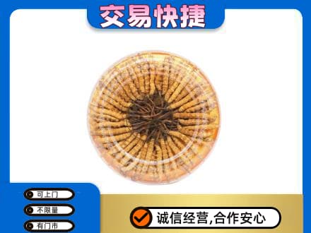 沧州沧县礼品回收虫草礼盒.jpg